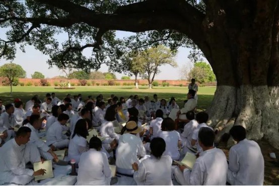 踏印度土 仰菩提树；惑而从师 后顾无忧！慧宇首届《生命能量》圆满结束