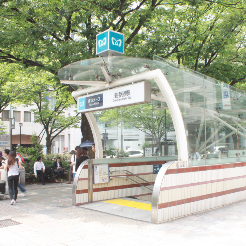 想去March的青山学院大学却不会日语？来语朵教育就对了
