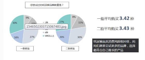 2019二胎家庭营销洞察报告