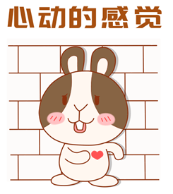那个24小时全网很火的胖子，竟然悄悄来深圳了？