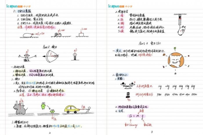 采访手记丨阳光洒遍之处，万物生长