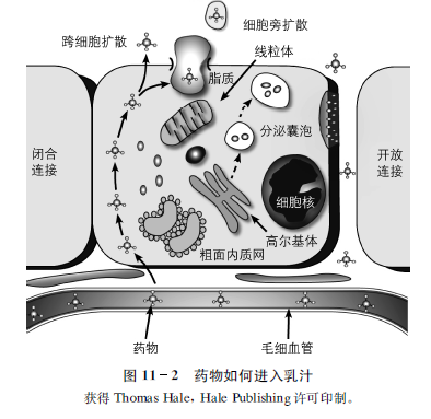 首发「泌乳顾问执业指南」，打造母婴照护丛书一站式学习