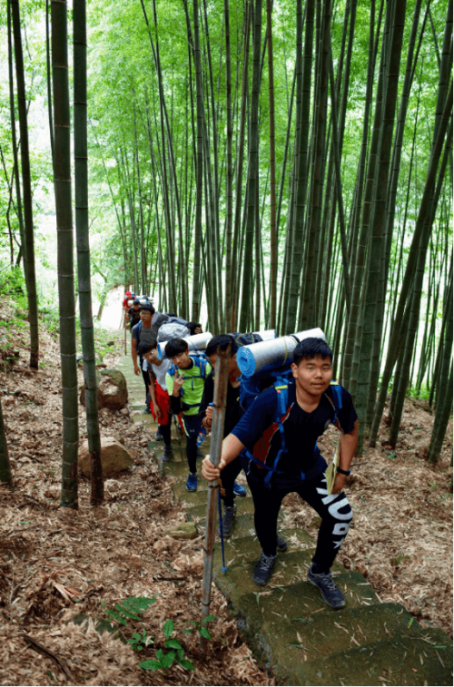 学术为王，运动为傲，杭州威雅如何带给长三角家庭新的惊喜？