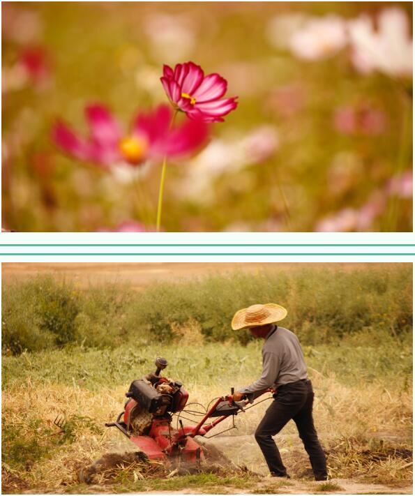 踏青正当时-艾博德科技股份有限公司之河源踏青之旅