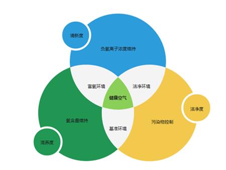 倡导健康校园理念，为国家健康校园献策献力