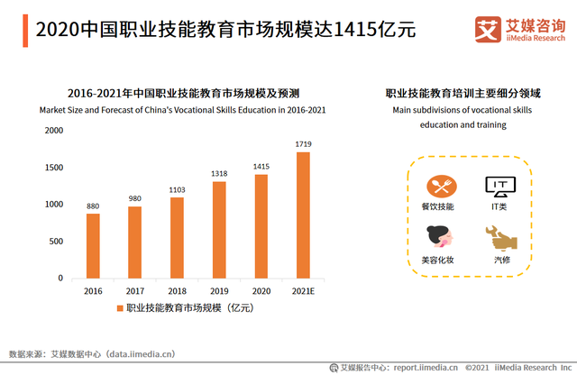 2020-2021中国职业发展教育现状及细分市场分析报告