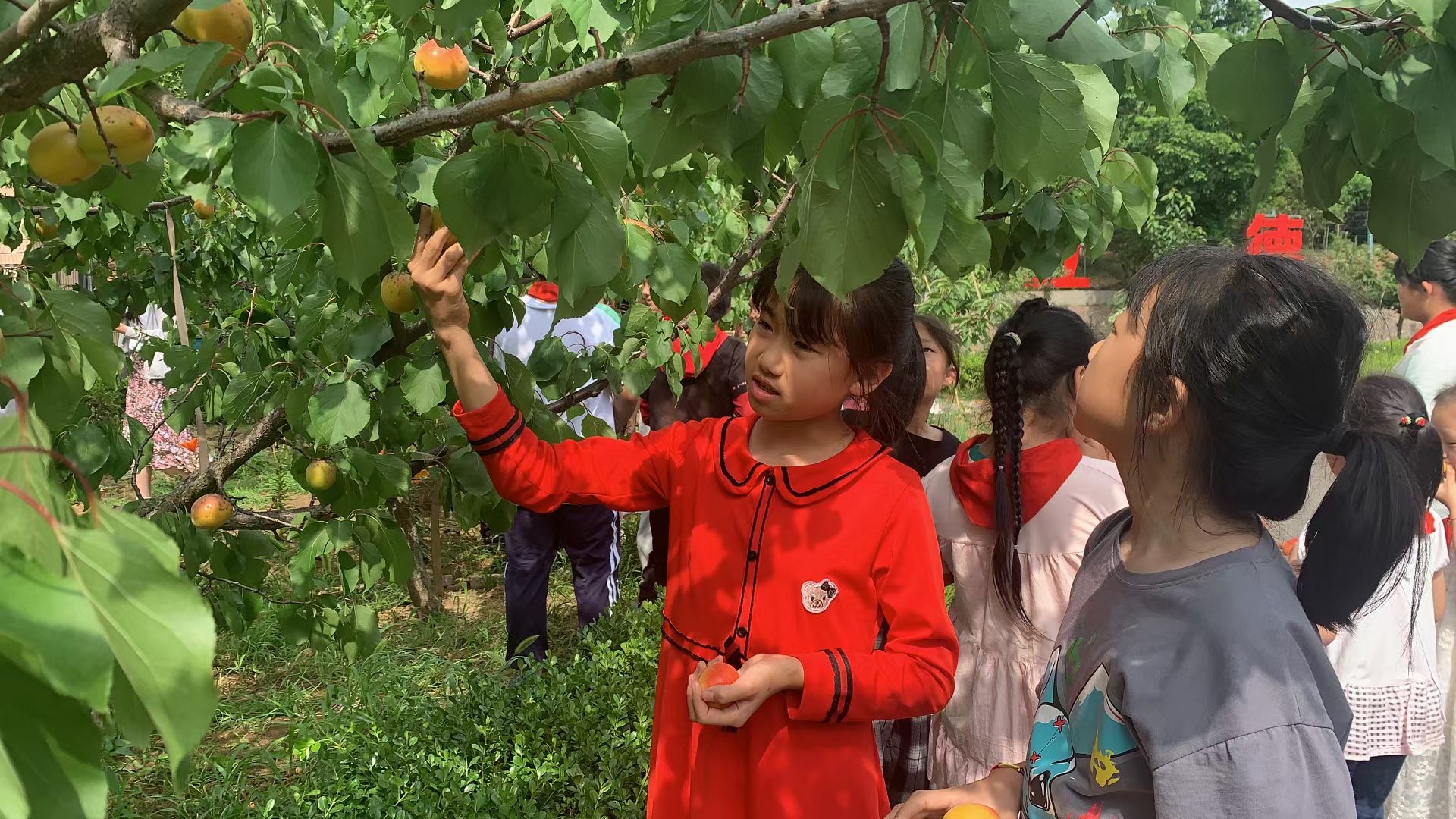 学生不足百人的青岛村小，用两年时间发生变化