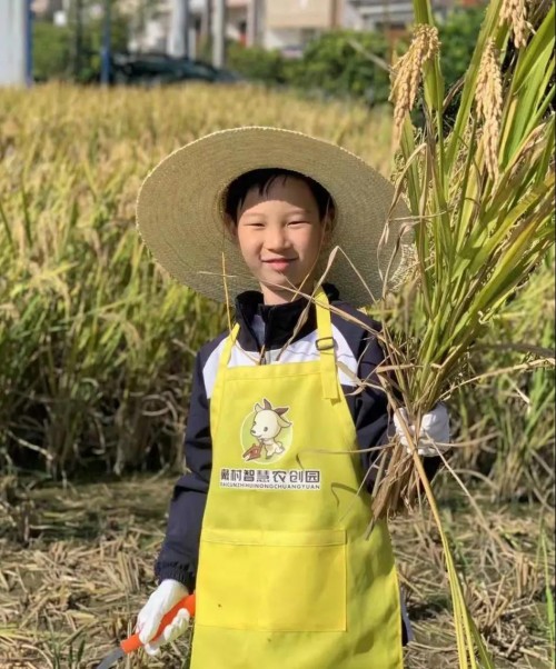 杭州威雅学校：小学部学期回眸，成长在潜移默化中发生