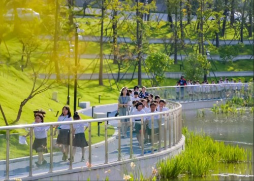 杭州威雅学校：探寻文字奥秘，体验传统文化，“中华汉字文化体验坊”开幕！