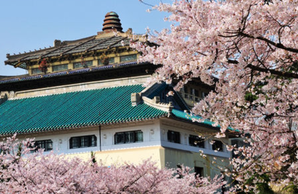 我国大学排名“大洗牌”，华科大不敌武大第9，第3名出乎众人意料