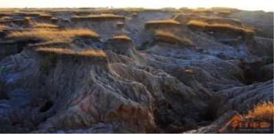 育人，无界永在、无尽永前