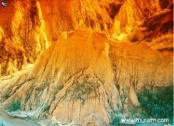 育人，无界永在、无尽永前