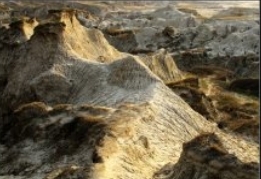 育人，无界永在、无尽永前