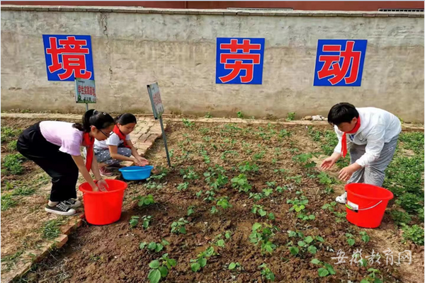 安徽滁州打好组合拳力促“双减”落地见效