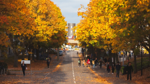威雅学校：升学规划国际教育展重磅来袭！