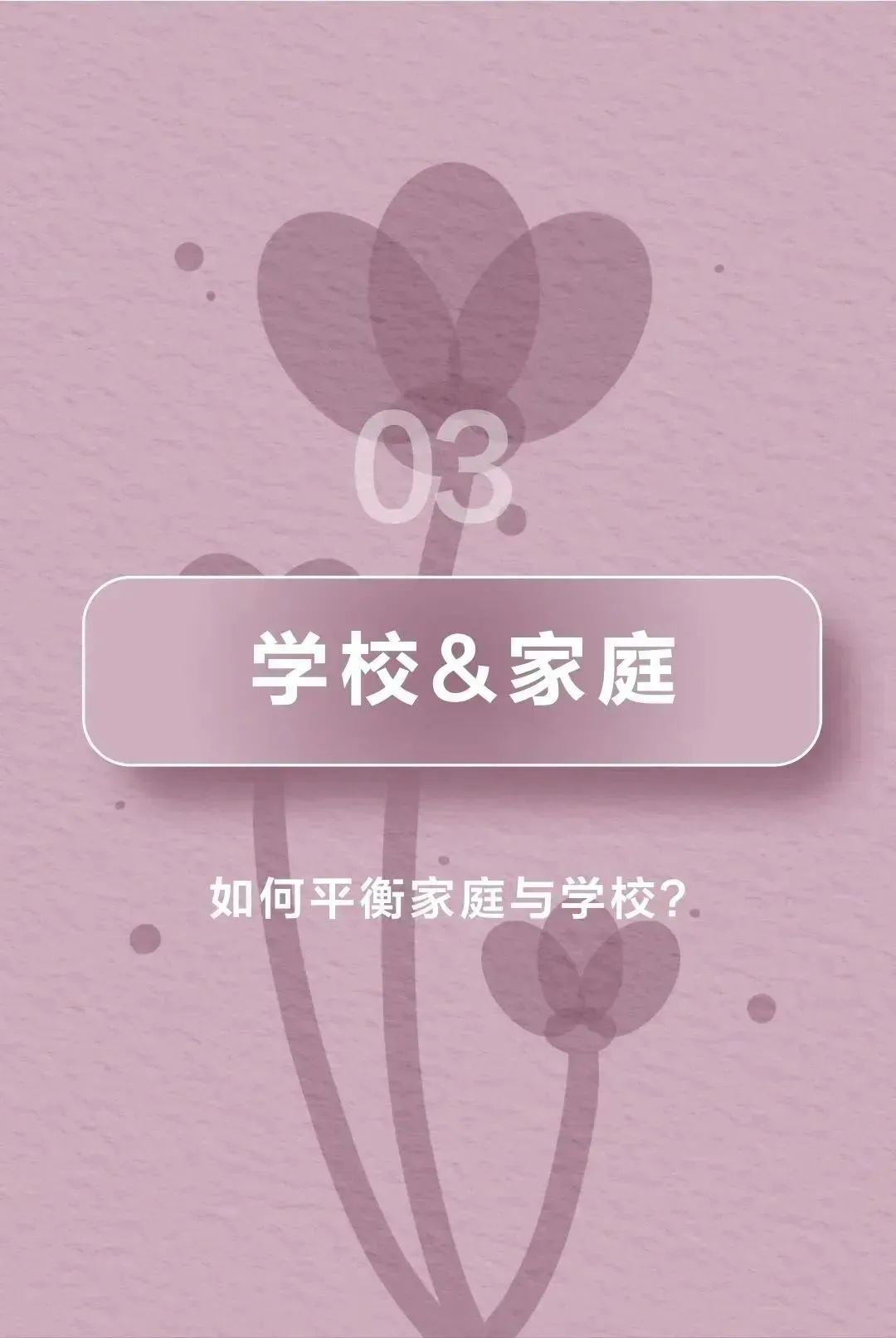 女教师该如何，「她」自有定义