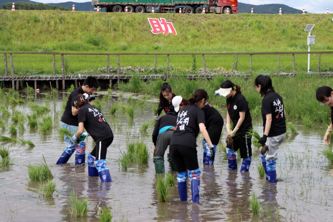 中传帮扶项目入选第八届教育部直属高校精准帮扶典型项目