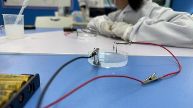 奇趣科学与美国科学教育体系与教学理念深度解析