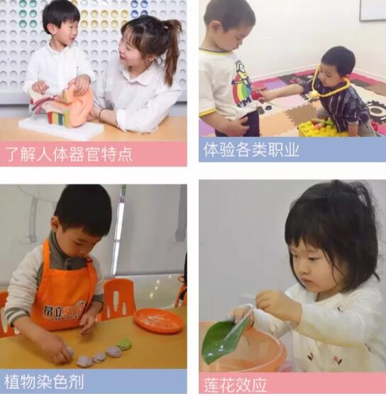 上海幼升小“公民同招”，家长和孩子该如何规划？