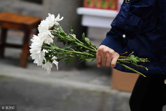 大脑智库：清明节，是时候跟孩子聊聊死亡了