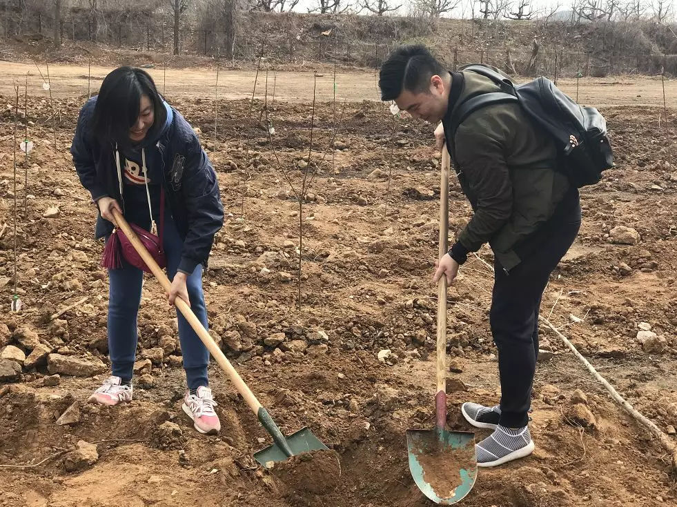 “播种绿色，拥抱绿色，收获绿色” ---华尔街英语公益植树活动