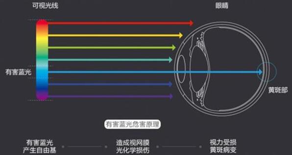 全国爱眼日 NEC开启科学护眼新方式