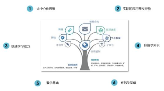 蓝石学院揭密区块链人才需求