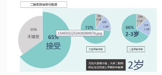 2019二胎家庭营销洞察报告