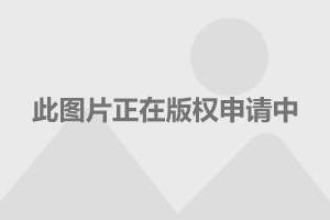 关大勇：教培机构应与基础教育互动互补 关注学生育人成长