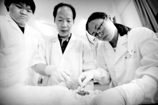 培养胜任力强的一线医护人才