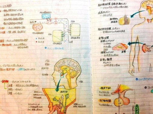 怎样像学霸一样高效记笔记？秘器在这里