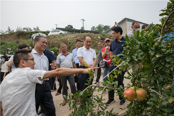 全省林业科技会议在河南林业职业学院召开