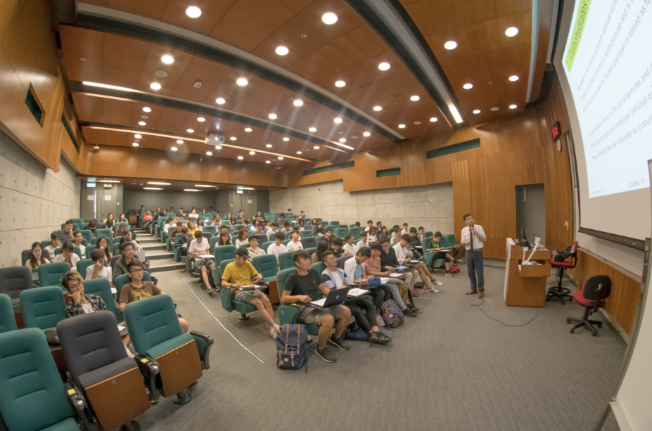 香港理工大学SPEED课程为内地学生赴港专升本提供优质途径