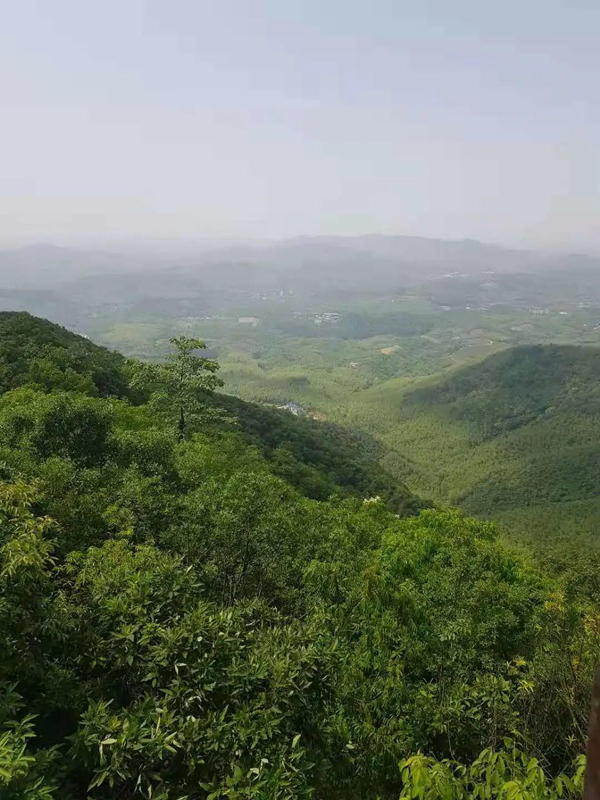 常州威雅户外探险项目——八至九年级的登山野营之旅