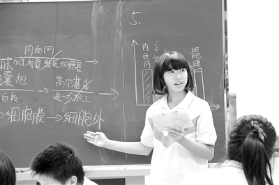 思维教学：拓展学生潜能的“脚手架”