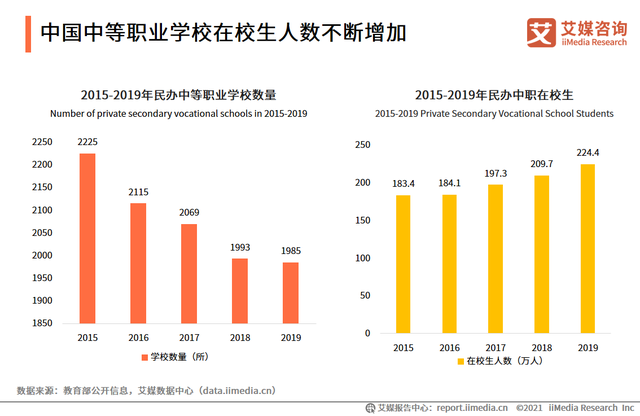 2020-2021中国职业发展教育现状及细分市场分析报告