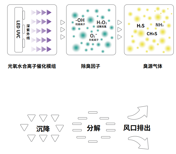 空净视界首次亮相普教展，引领公共空间空气质量健康行业新风尚