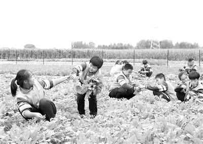 长治以“双抓”促“双减”