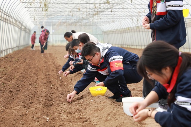 河南济源一中：劳动教育助推学校高质量发展