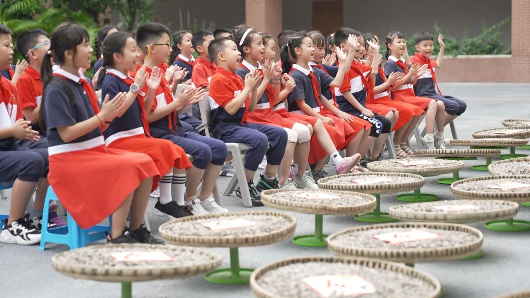 双减！重庆已排查梳理培训教育机构约1.4万家
