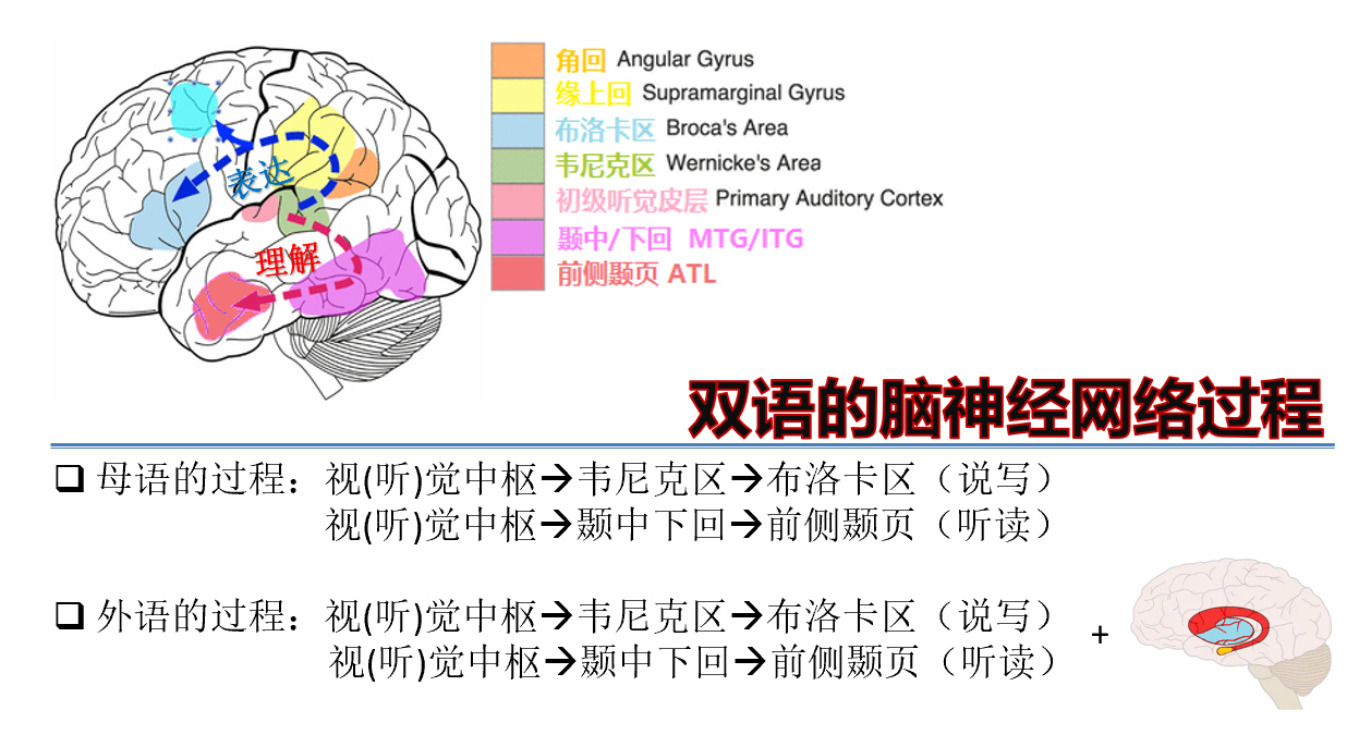 烧钱上百万养双语娃，结果中英文“双弱”，是时候破除中国家长的这些“迷信”了