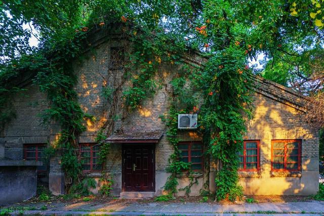 博士就业竟也成难题？北大物理学博士被河南大学辅导员岗位录取