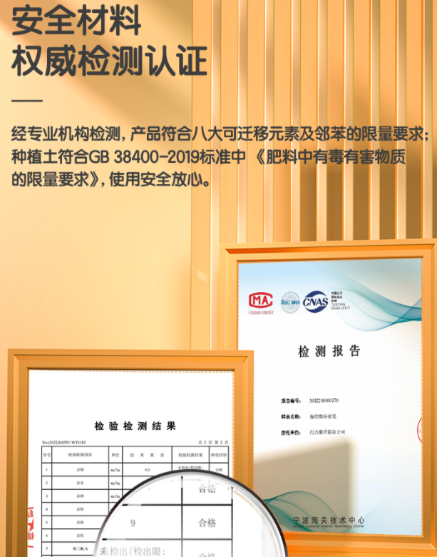 学习实践两手抓！得力植物栽培套装让孩子们体验劳作的快乐