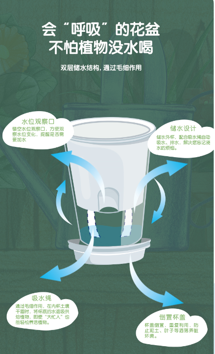 学习实践两手抓！得力植物栽培套装让孩子们体验劳作的快乐