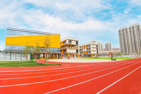 向“优”而进，浐灞教育“强基提质”！