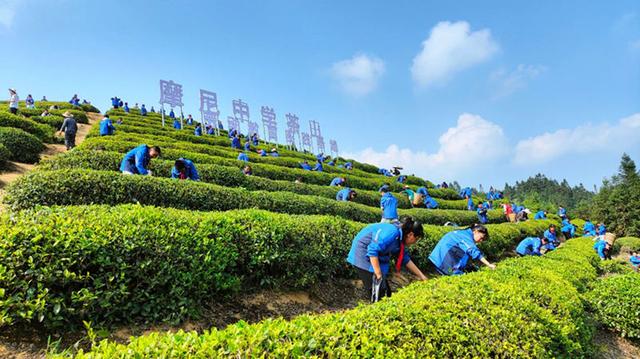 泸州叙永：教育发展有保障 办学效益再提质