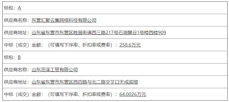 永利小学教学设施设备配备采购项目（教育信息化、厨房设备采购）中标（成交）公告