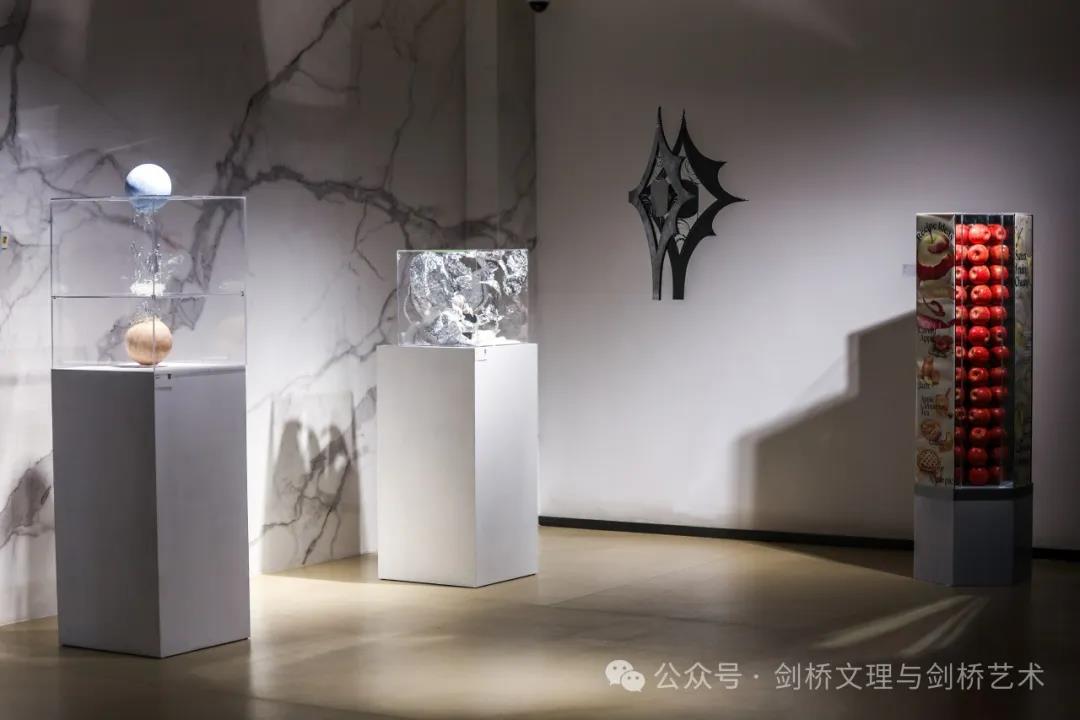 2024 CSVPA China剑桥艺术毕业展《物与感》丨探索物与观念之间的共生关系