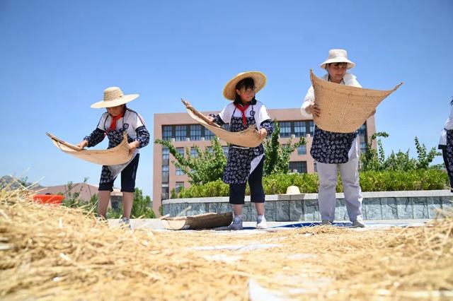 山东：奏响扩优提质新乐章｜各地教育成就巡礼