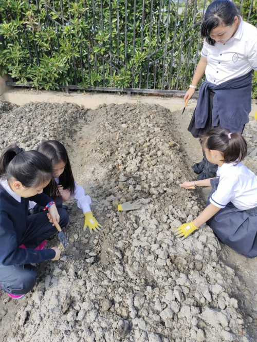 杭州威雅学校：科学遇上文化，小学部科学周创新之旅